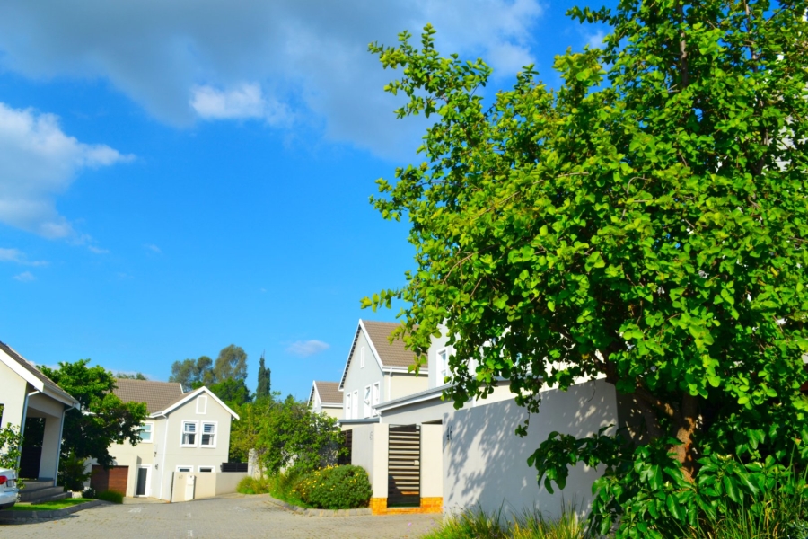 To Let 3 Bedroom Property for Rent in Bryanston Gauteng