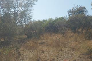 Commercial Property for Sale in Buffelsdrift A H Gauteng