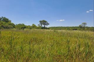 Commercial Property for Sale in Buffelsdrift A H Gauteng