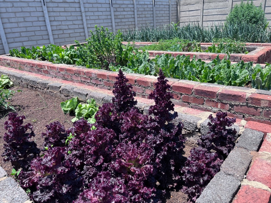 Commercial Property for Sale in Vanwaartshof Gauteng