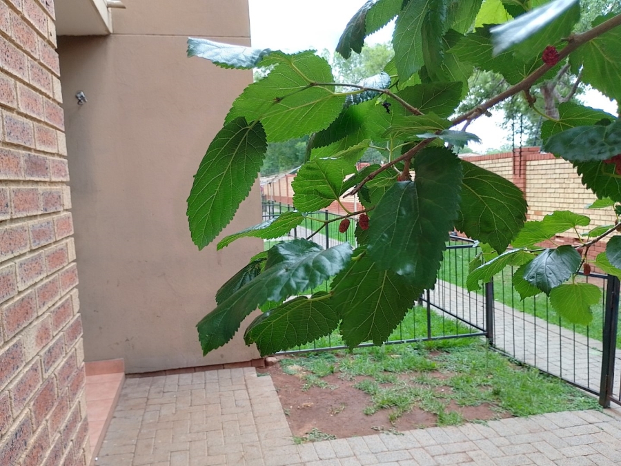 2 Bedroom Property for Sale in Comet Gauteng