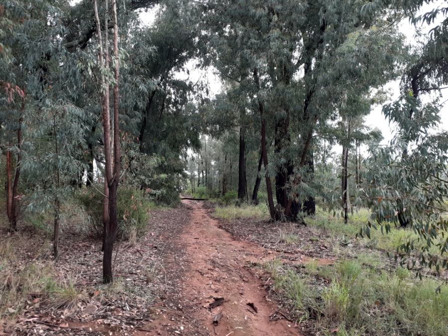 Commercial Property for Sale in Zwartkops Gauteng