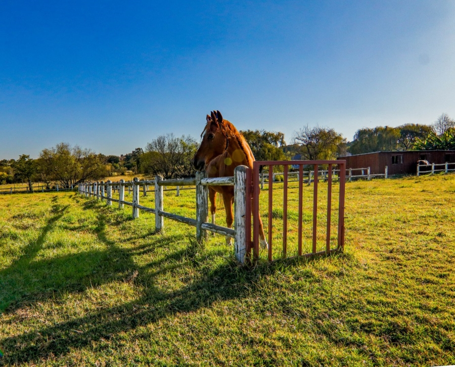 4 Bedroom Property for Sale in Randjesfontein A H Gauteng