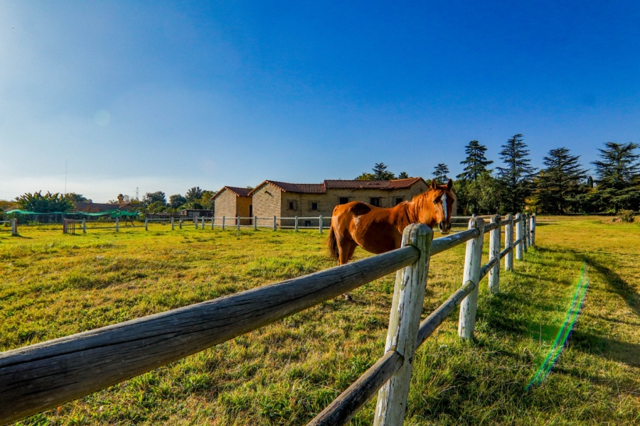 4 Bedroom Property for Sale in Randjesfontein A H Gauteng