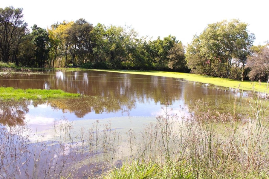 To Let 3 Bedroom Property for Rent in Waterlake Farm Lifestyle Estate Gauteng