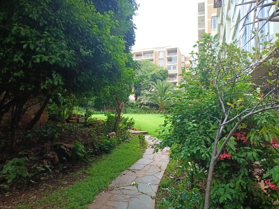 To Let 3 Bedroom Property for Rent in Parktown Gauteng