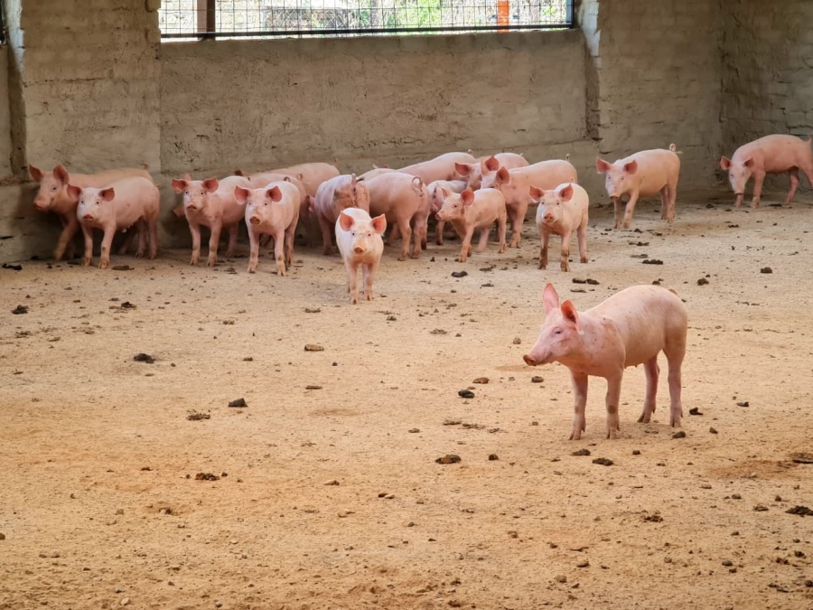 Commercial Property for Sale in Kromdraai Gauteng