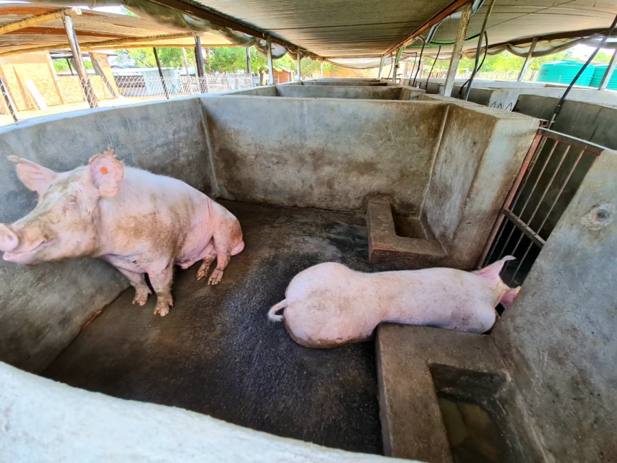 Commercial Property for Sale in Kromdraai Gauteng