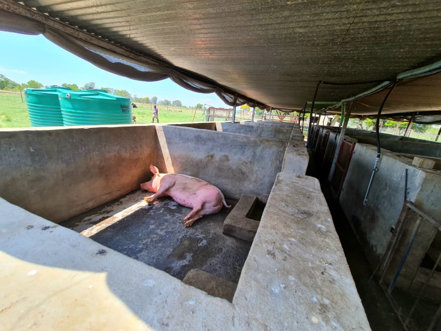 Commercial Property for Sale in Kromdraai Gauteng