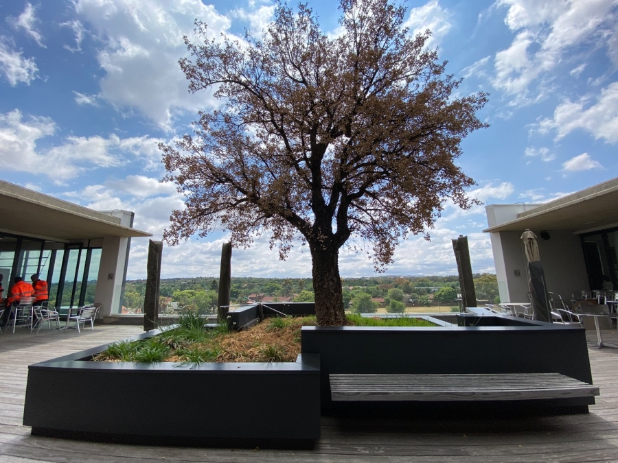 To Let commercial Property for Rent in Doringkloof Gauteng