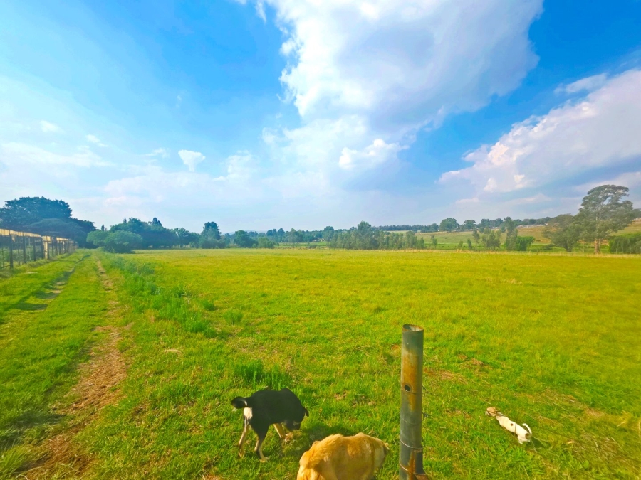 Commercial Property for Sale in Heidelberg A H Gauteng