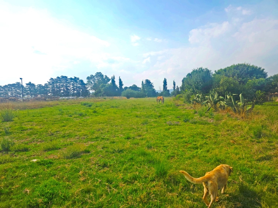 Commercial Property for Sale in Heidelberg A H Gauteng