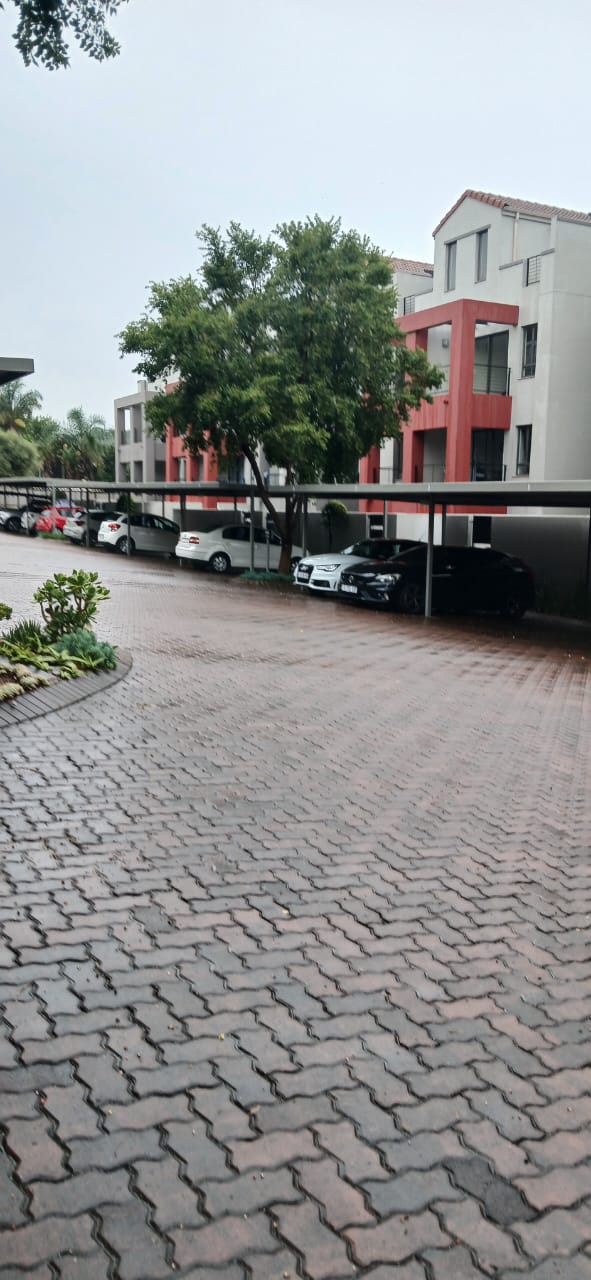 To Let 1 Bedroom Property for Rent in Sunninghill Gauteng