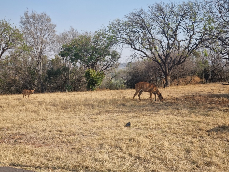 Commercial Property for Sale in Waterlake Farm Lifestyle Estate Gauteng