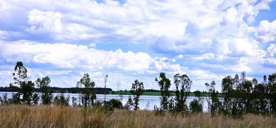 Commercial Property for Sale in Vaal Marina Gauteng