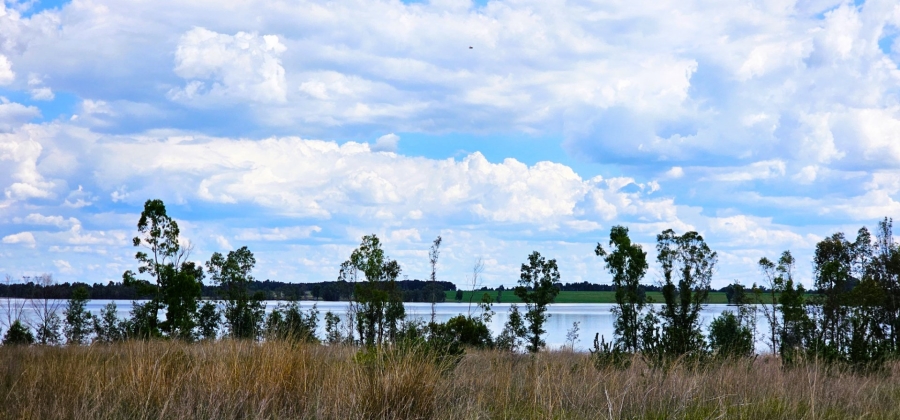 Commercial Property for Sale in Vaal Marina Gauteng