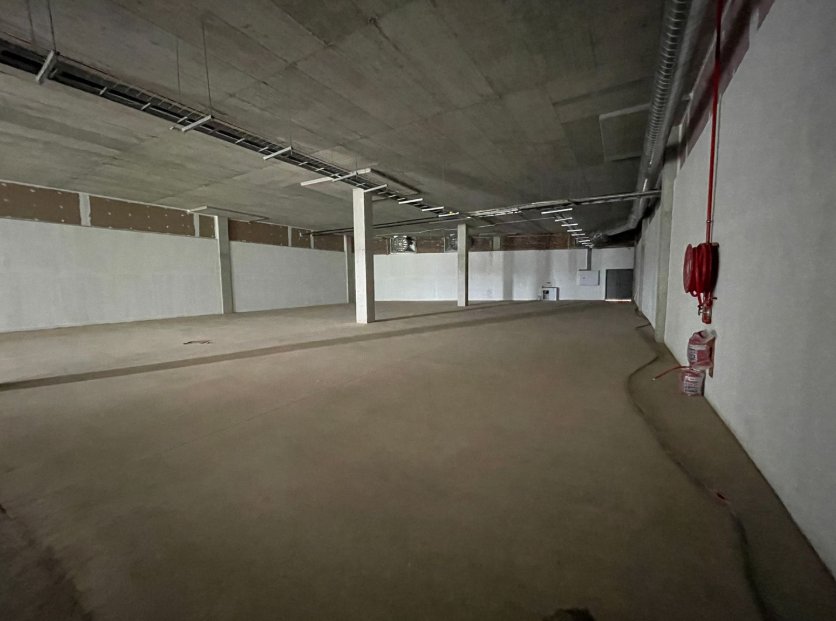 To Let Commercial Property for Rent in Parkdene Gauteng