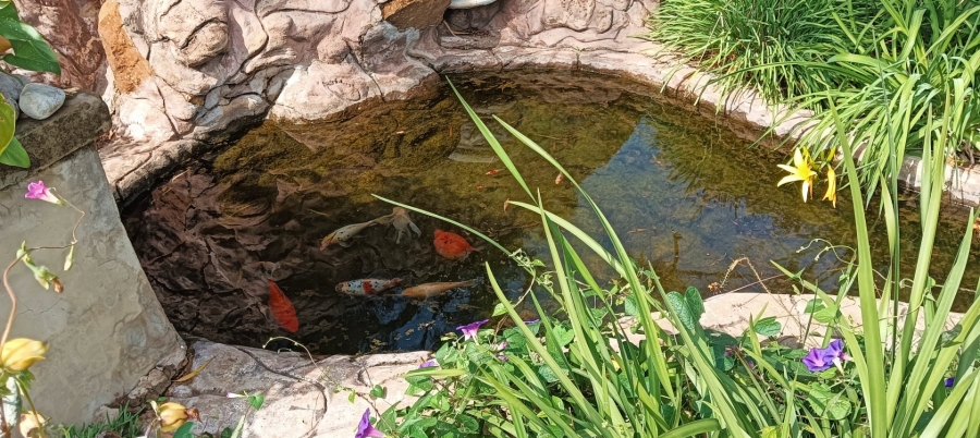 Commercial Property for Sale in Welverdiend AH Gauteng