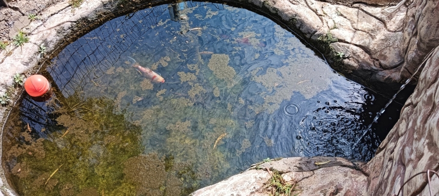 Commercial Property for Sale in Welverdiend AH Gauteng