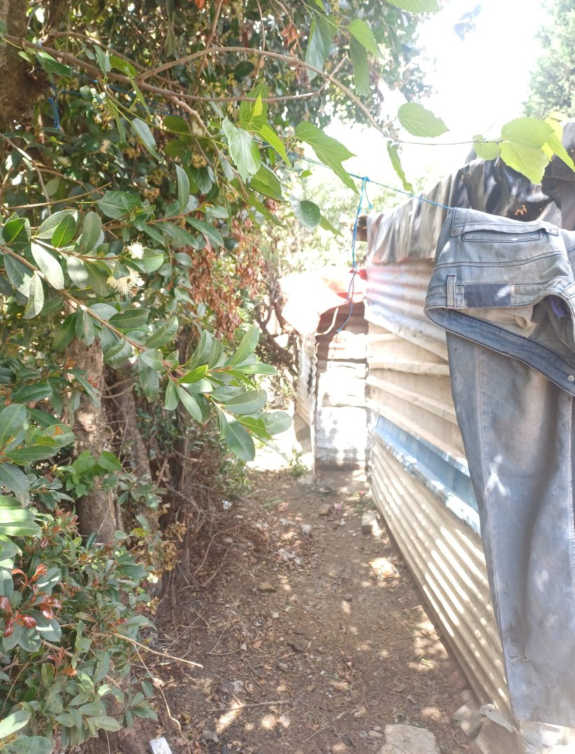 2 Bedroom Property for Sale in Olievenhoutbosch Gauteng