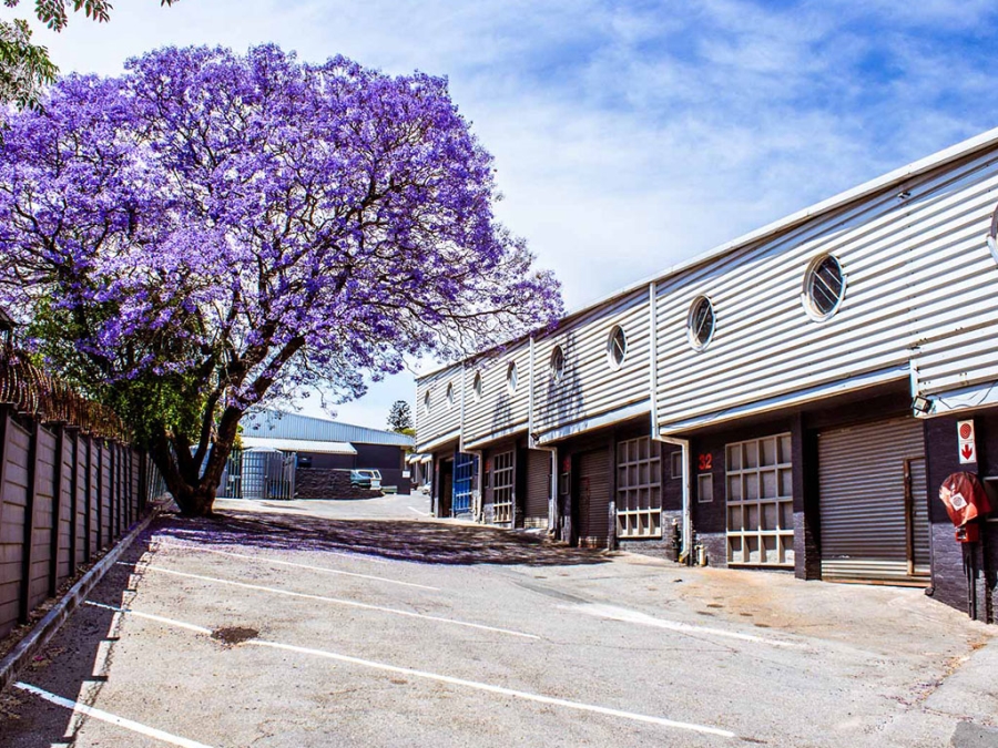 To Let commercial Property for Rent in Gallagher Estate Gauteng