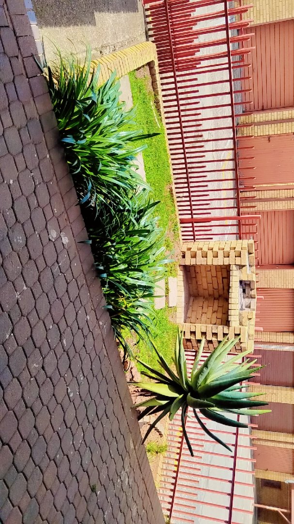 To Let 3 Bedroom Property for Rent in Gezina Gauteng