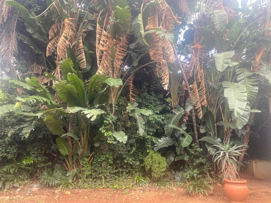 To Let 3 Bedroom Property for Rent in Rietondale Gauteng