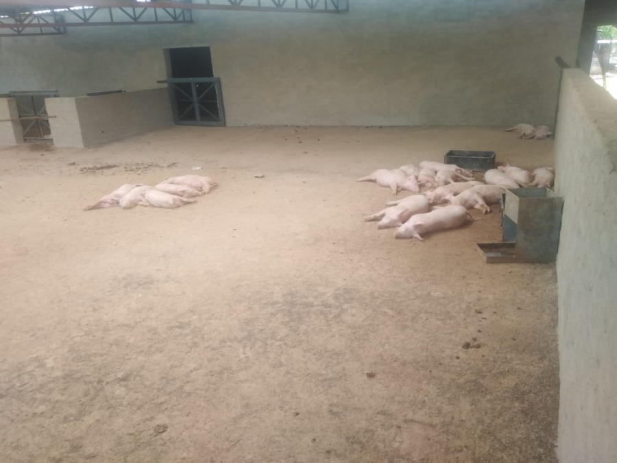 Commercial Property for Sale in Kromdraai Gauteng