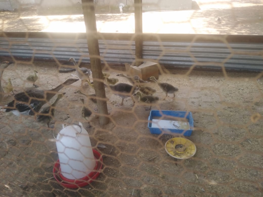 Commercial Property for Sale in Kromdraai Gauteng