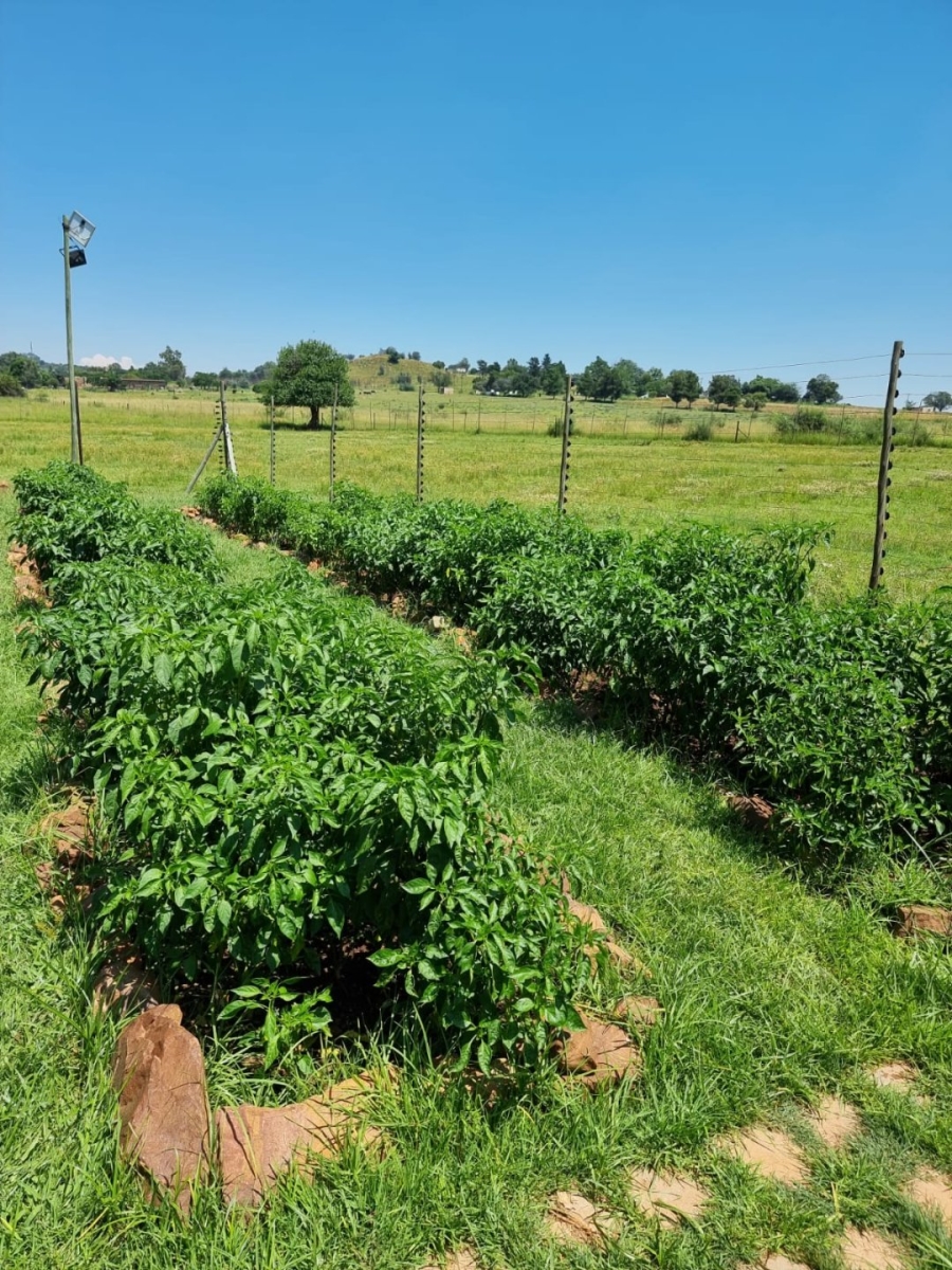 Commercial Property for Sale in Klipview Gauteng