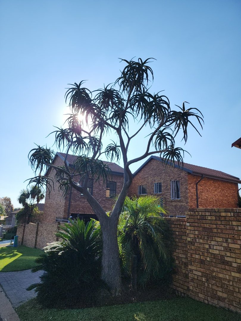 4 Bedroom Property for Sale in Amberfield Gauteng