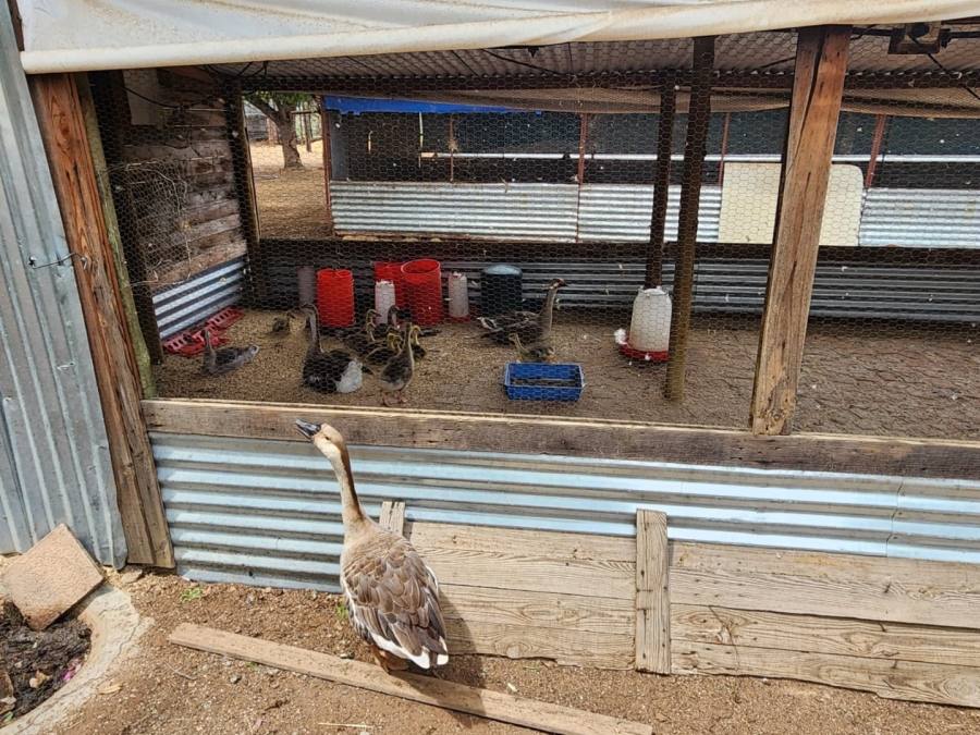 2 Bedroom Property for Sale in Kromdraai Gauteng