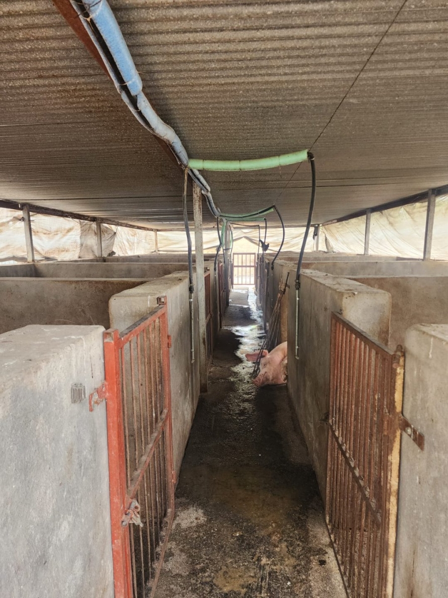 2 Bedroom Property for Sale in Kromdraai Gauteng