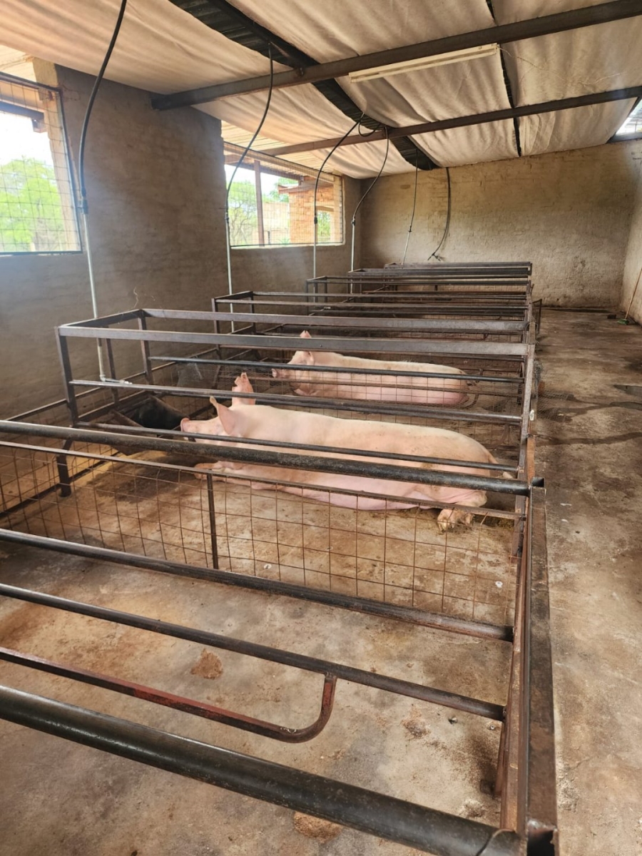 2 Bedroom Property for Sale in Kromdraai Gauteng