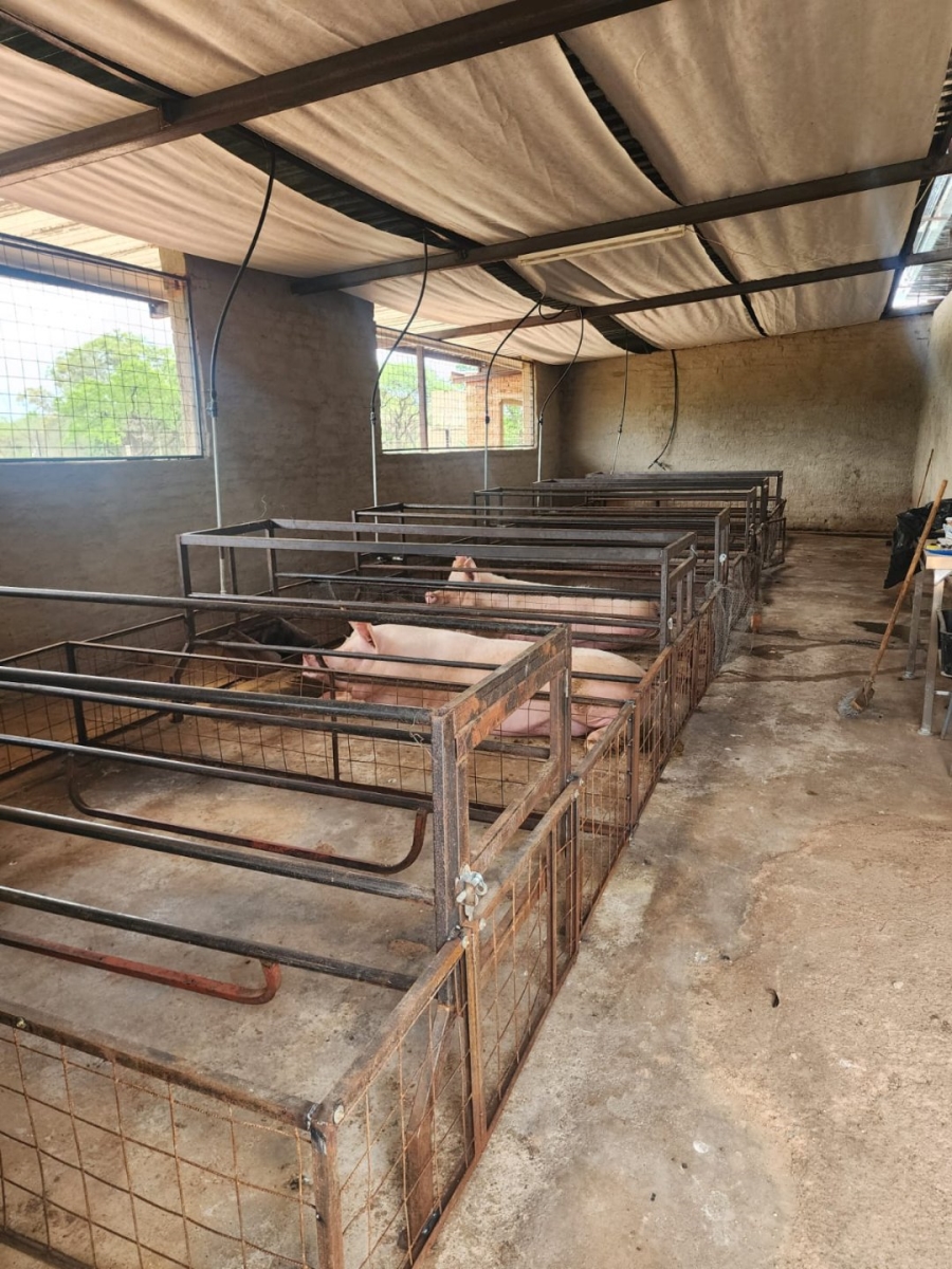 2 Bedroom Property for Sale in Kromdraai Gauteng