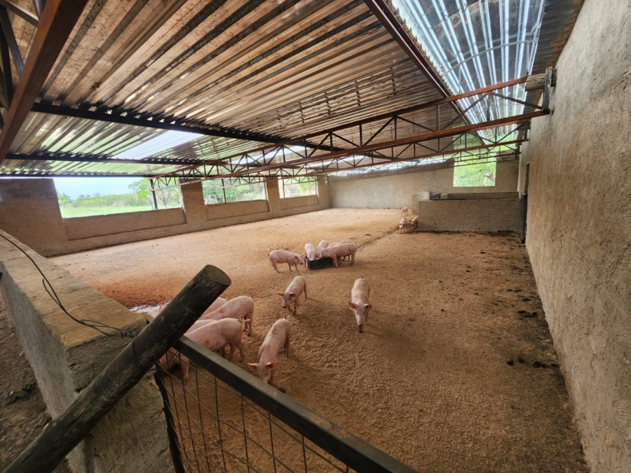 2 Bedroom Property for Sale in Kromdraai Gauteng