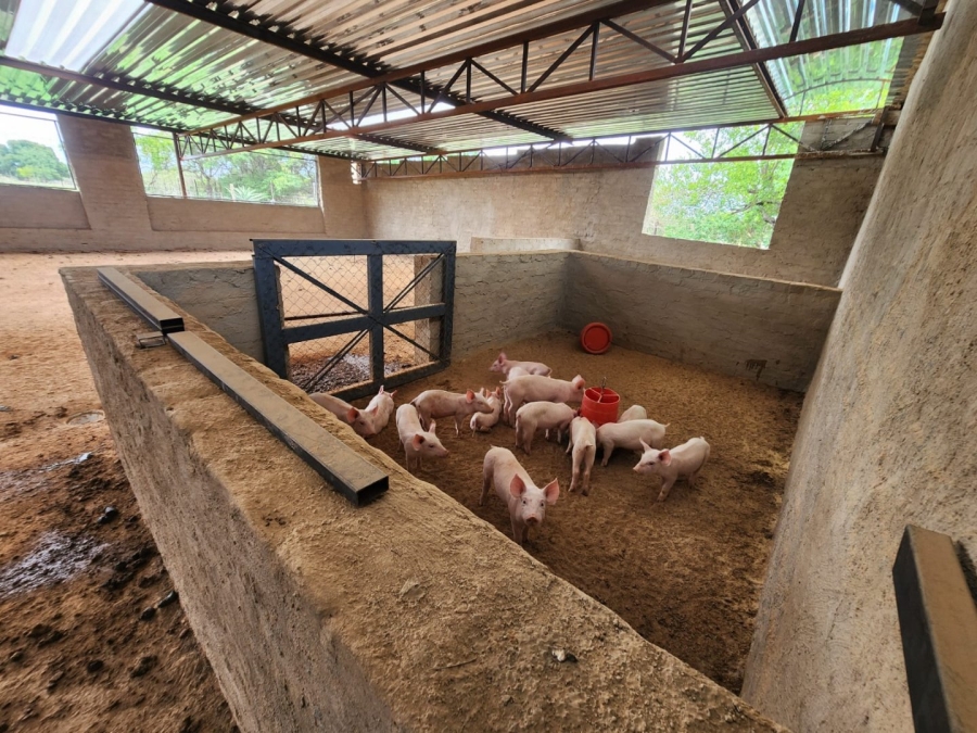 2 Bedroom Property for Sale in Kromdraai Gauteng