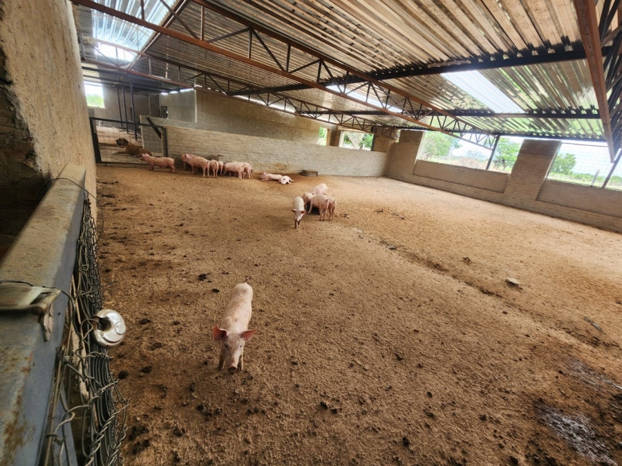 2 Bedroom Property for Sale in Kromdraai Gauteng