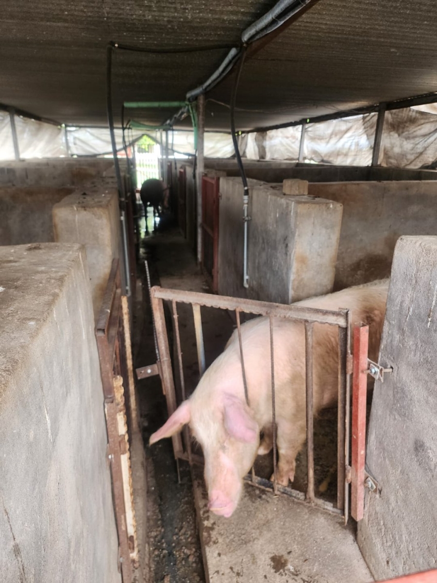 2 Bedroom Property for Sale in Kromdraai Gauteng