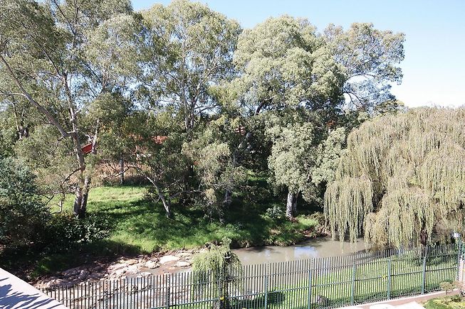 To Let 4 Bedroom Property for Rent in Sandown Gauteng