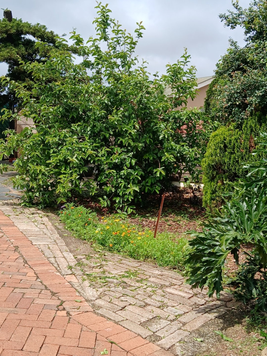 3 Bedroom Property for Sale in Kwaggasrand Gauteng