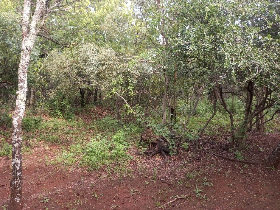 Commercial Property for Sale in Dinokeng Game Reserve Gauteng