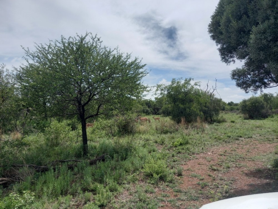 Commercial Property for Sale in Dinokeng Game Reserve Gauteng