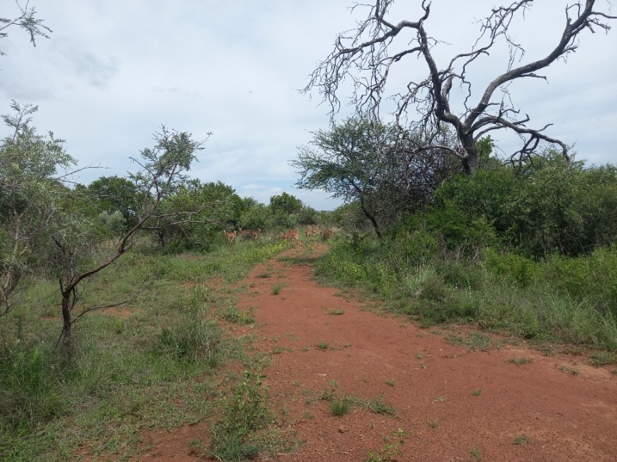Commercial Property for Sale in Dinokeng Game Reserve Gauteng