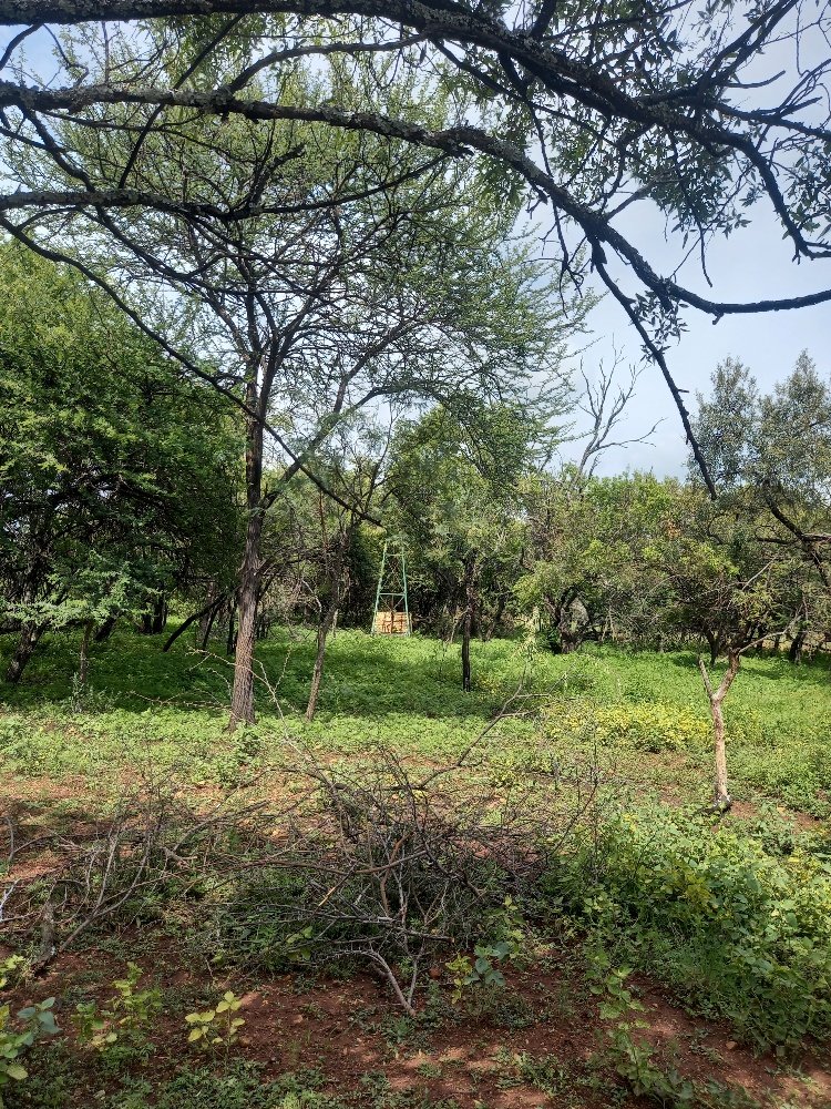 Commercial Property for Sale in Dinokeng Game Reserve Gauteng