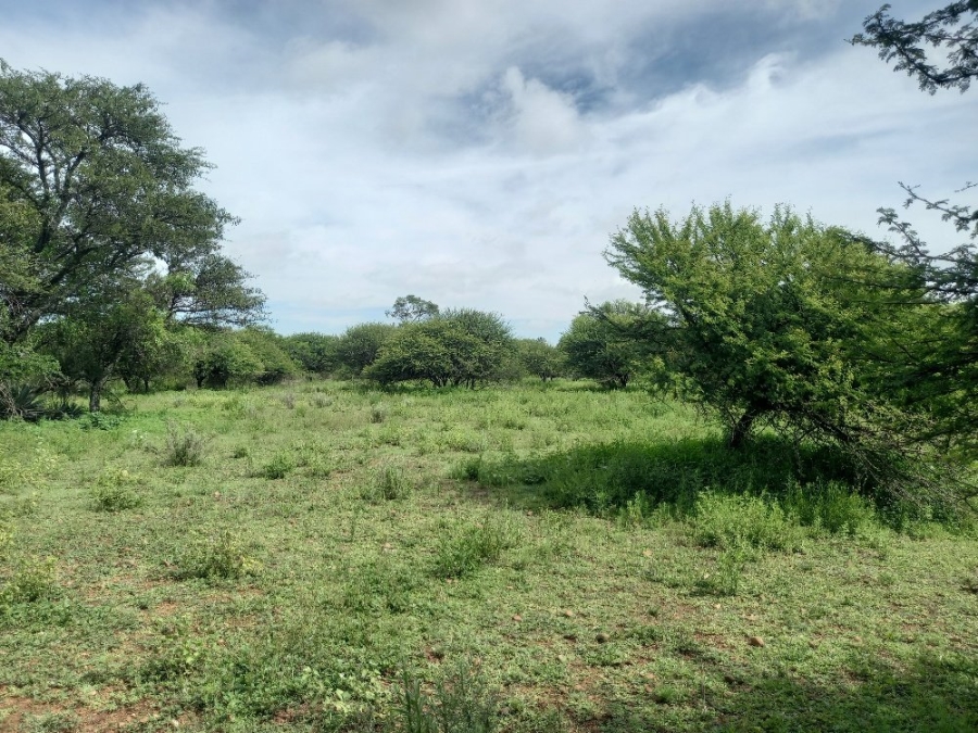 Commercial Property for Sale in Dinokeng Game Reserve Gauteng