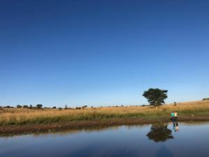 Commercial Property for Sale in Pretoria North Gauteng