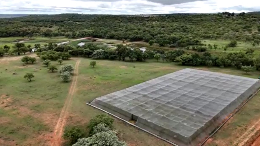 Commercial Property for Sale in Oog Van Boekenhoutskloof Alias Tweefonte Gauteng