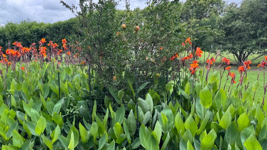 Commercial Property for Sale in Kaalplaats West Gauteng