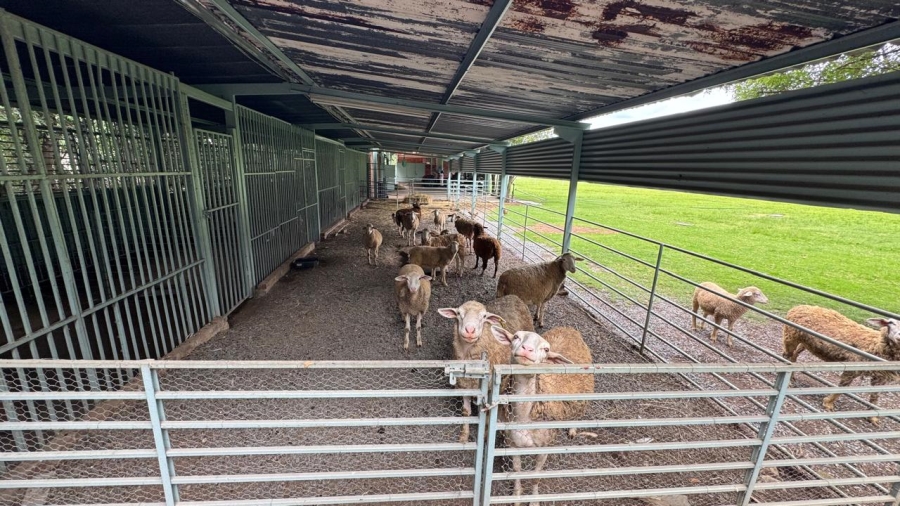 Commercial Property for Sale in Kaalplaats West Gauteng